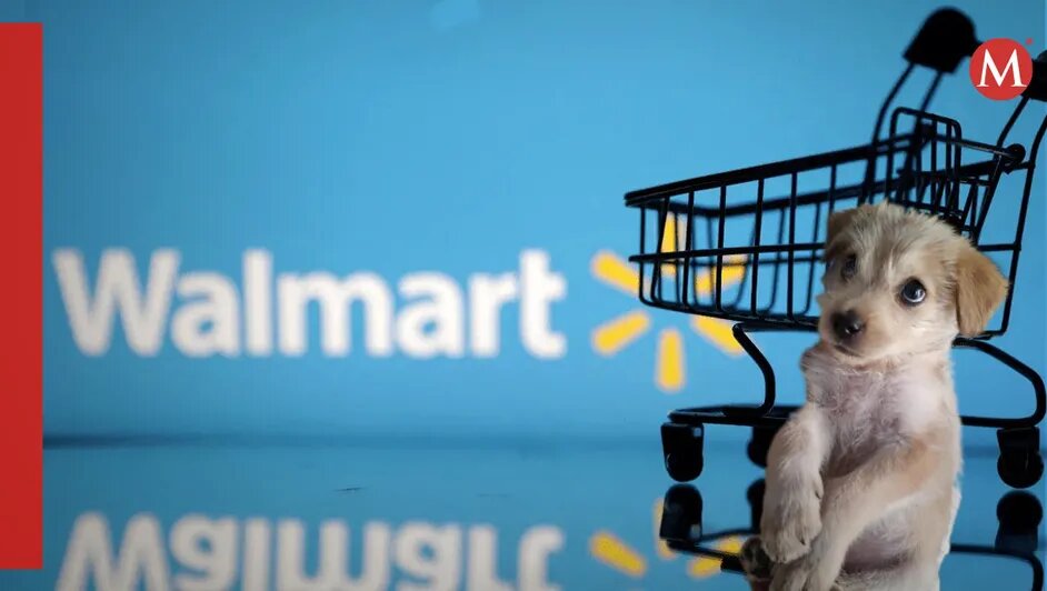 ¿No tienes con quién dejar a tu ‘lomito’? ¡Walmart ya permite pasar mascotas! Esto debes tomar en cuenta